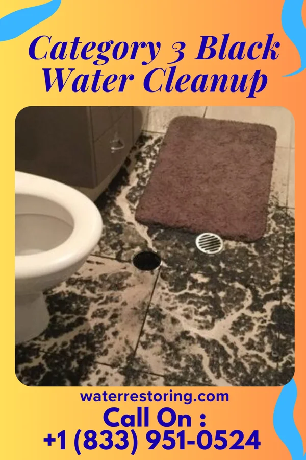 Category 3 Black Water Cleanup in Mountain Grove, MO
