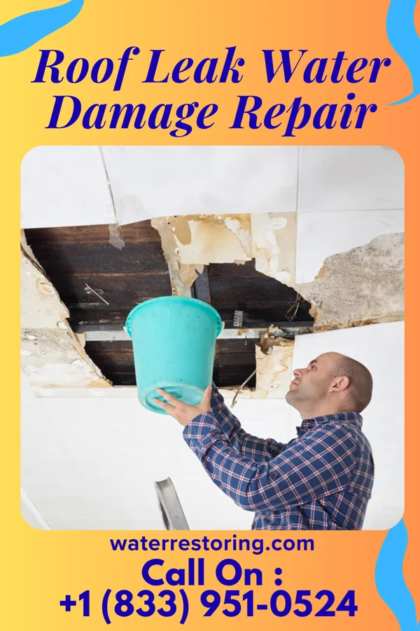 Roof Leak Water Damage Repair in Mountain Grove, MO