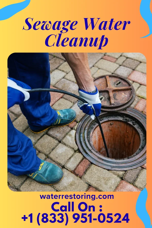 Sewage Water Cleanup in Mountain Grove, MO